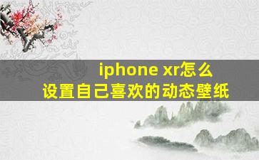 iphone xr怎么设置自己喜欢的动态壁纸